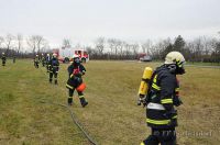 FF_APL_2011_ 115